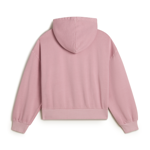 Retro PO Hoodie