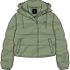Neutral Olive