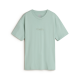 Gray Olive